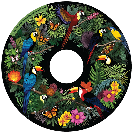 Rainforest Birdlife | CMW Collection